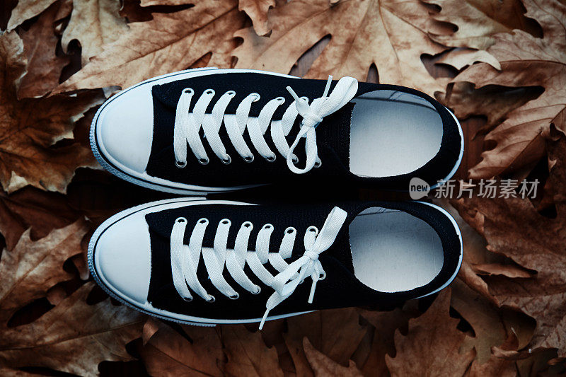 一双经典的无品牌黑色运动鞋在秋天的叶子，俯视图