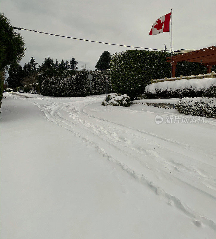 罕见的降雪在白岩，BC