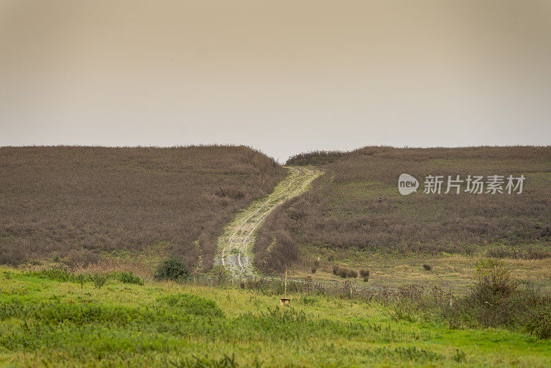 跟踪通过希瑟