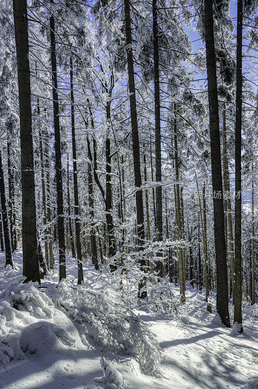 美丽的雪山冬季景观