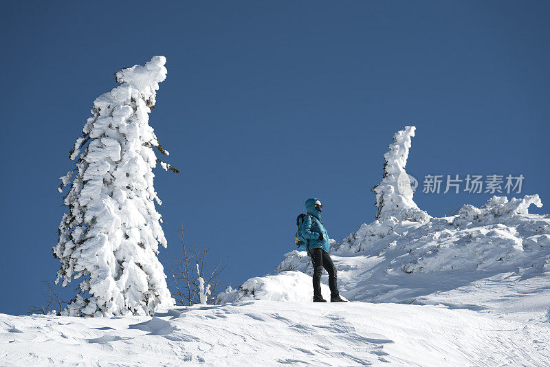 成熟的女人徒步在极地的风景里，周围是霜、雪、风和寒冷。