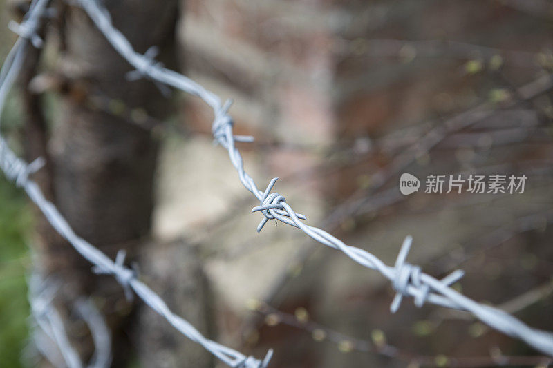 特写的一个有刺的铁丝网篱笆在农村，与浅的景深