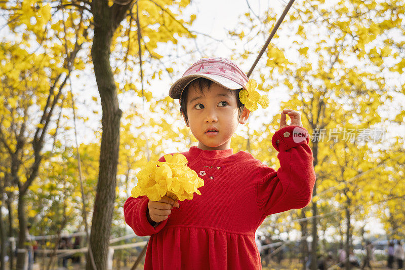 一个美丽的亚洲小女孩在公园里玩春天飘落的花