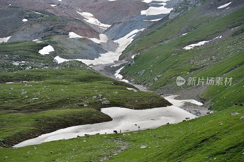 那拉提草原-新疆维吾尔自治区雪山和牧场