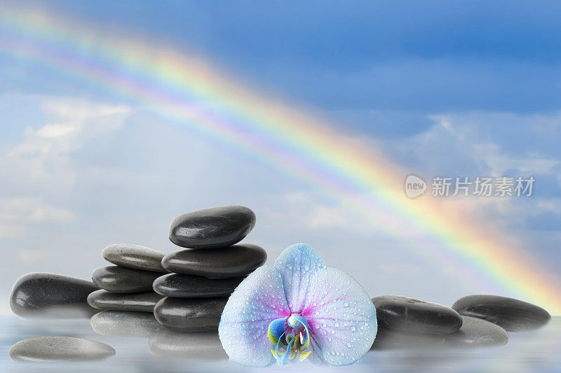 黑色的按摩石和兰花与彩虹和水的倒影
