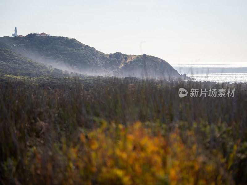 拜伦角-阿拉克瓦尔国家公园