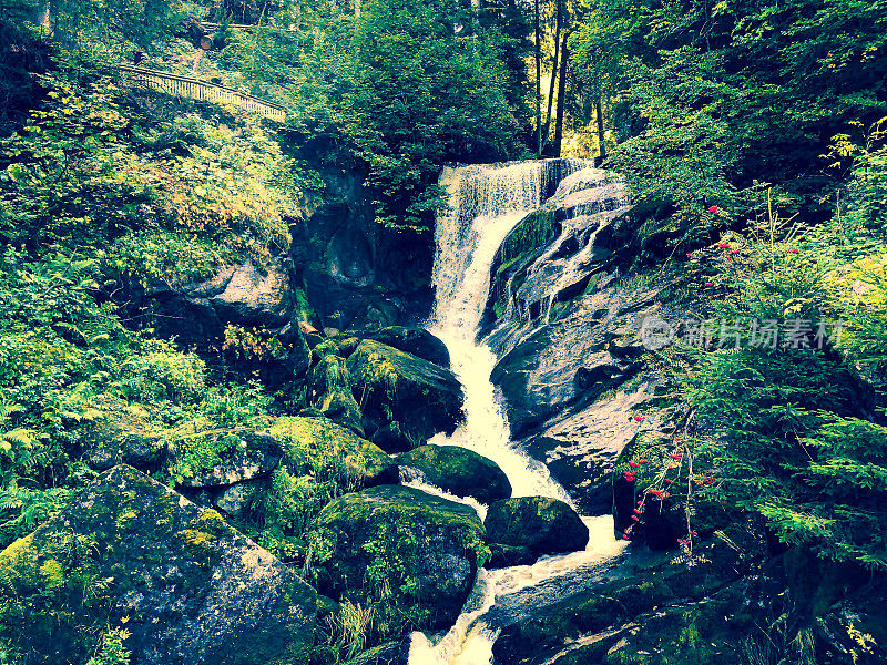 德国黑森林的瀑布。