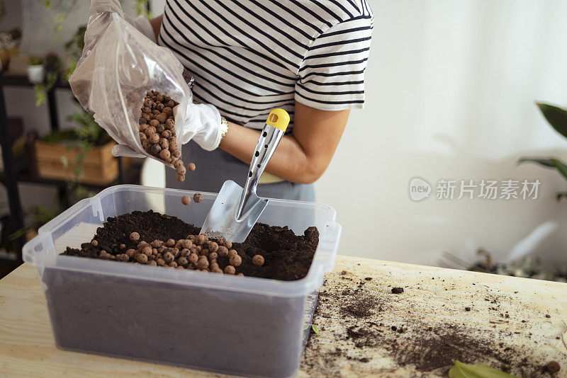 室内花园:妇女在土壤混合物中添加颗粒