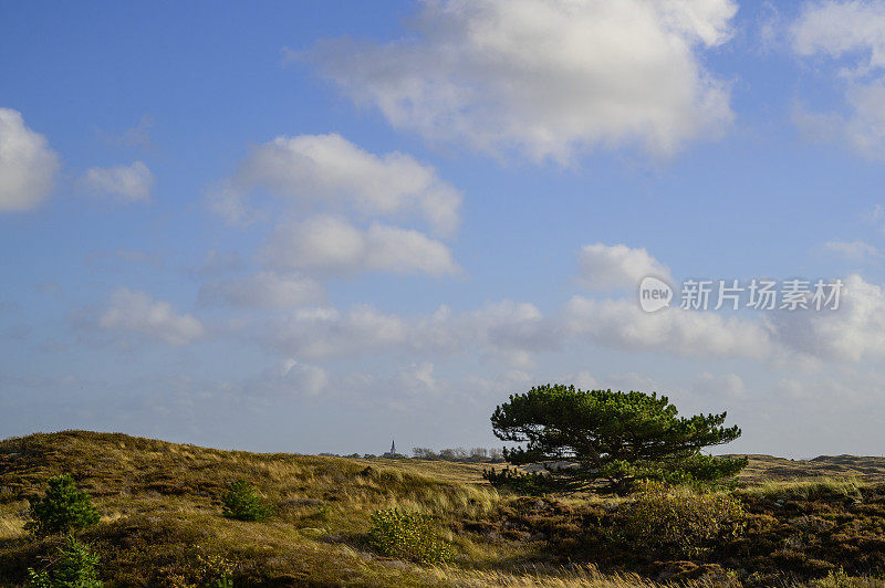 瓦登海区特塞尔岛沙丘景观