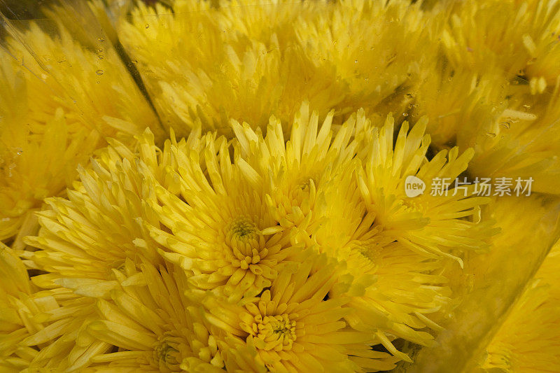 黄色人造花背景。鲜艳的花束。