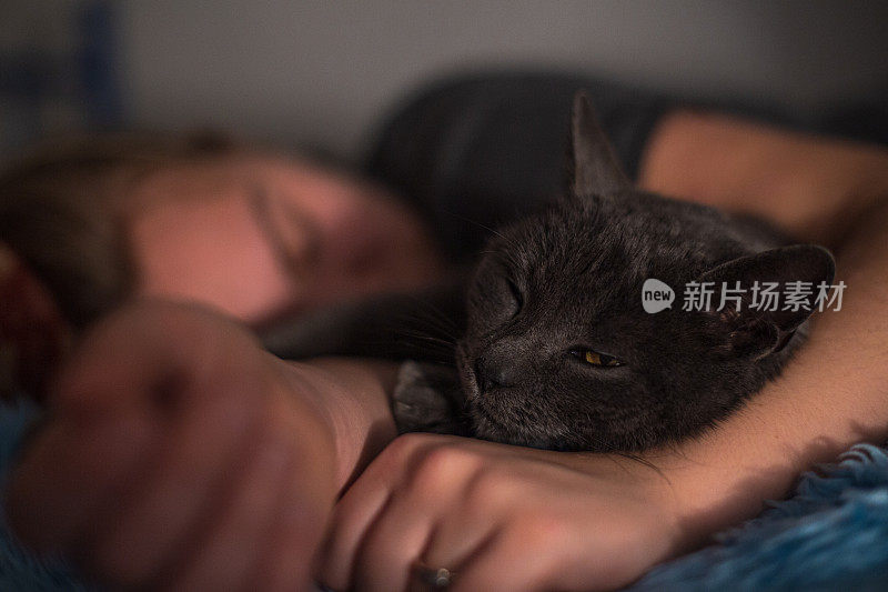 年轻美丽的少女躺在床上与她的俄罗斯蓝猫，猫把它的头放在她的手