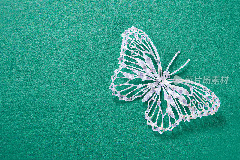 手工蝴蝶剪纸，绿色背景