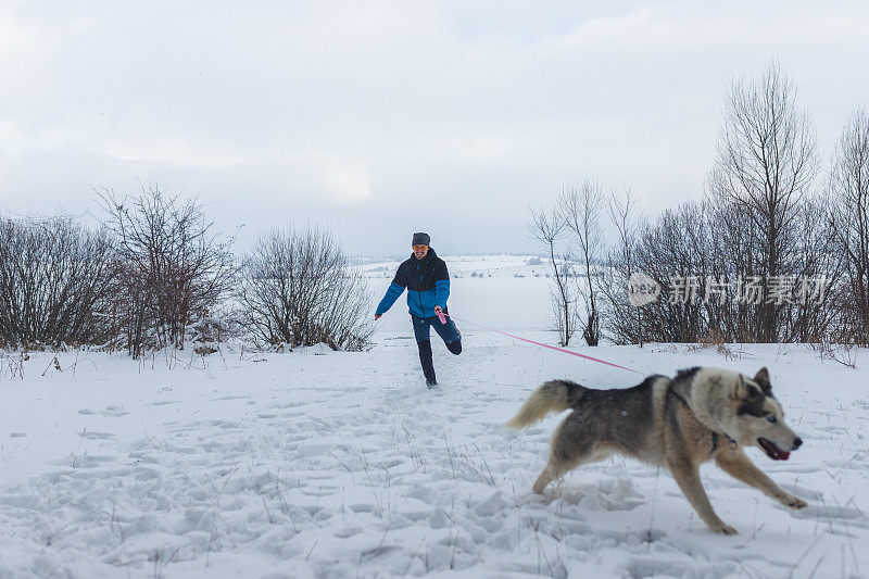 年轻人和西伯利亚哈士奇在雪地里玩耍，背景是风景