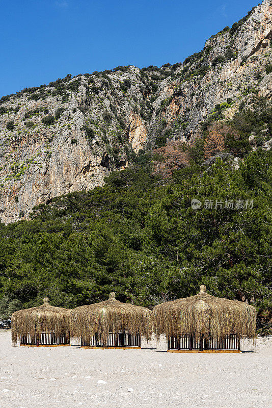 稻草栖息在沙滩上