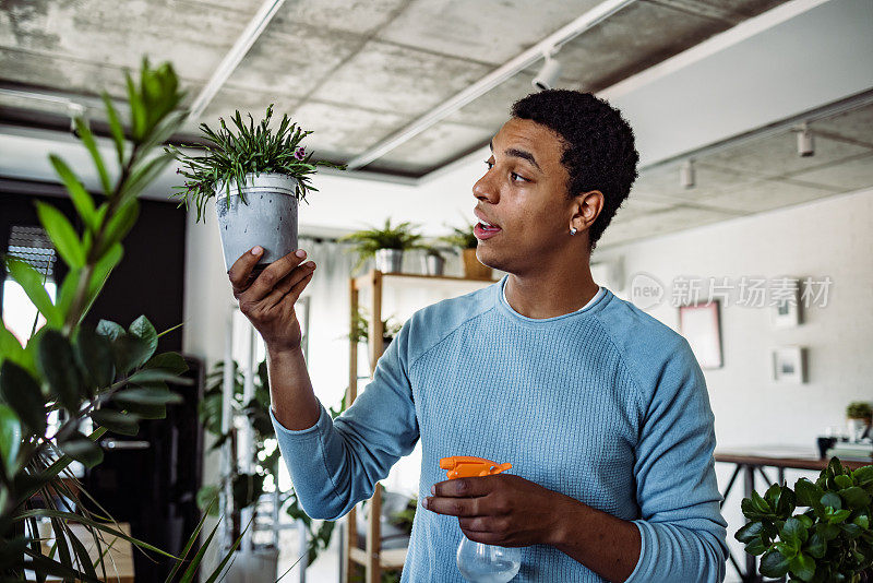 男人在给家里的植物浇水