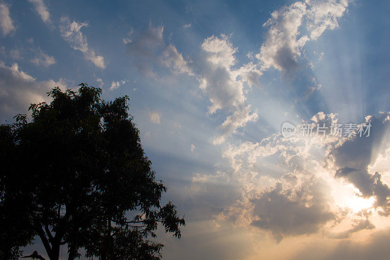 左边是阳光穿过云层和芒果树的黄金时段照片