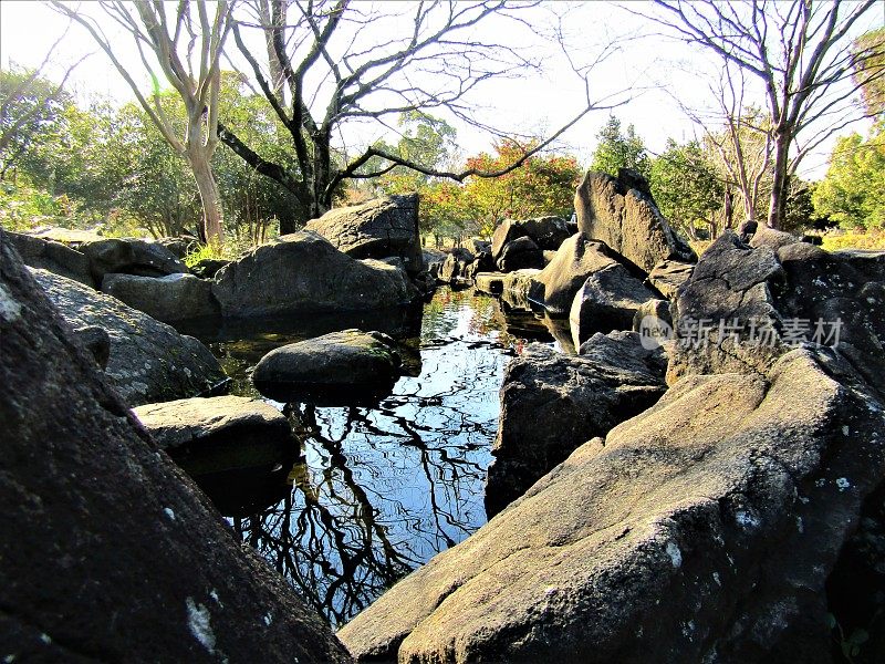 日本。12月。公园里有水流。