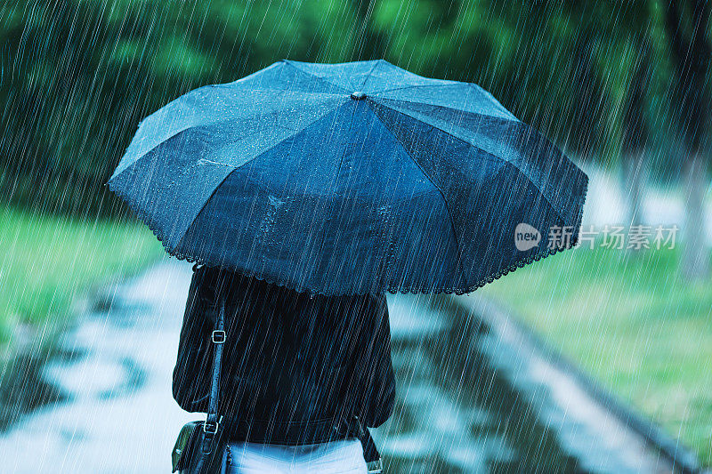春雨。在雨天打黑伞。深深的悲伤。悲伤的情绪。下雨的城市。大雨在夏天的绿色背景。感到悲伤。寒冷的秋天的天气。抑郁症