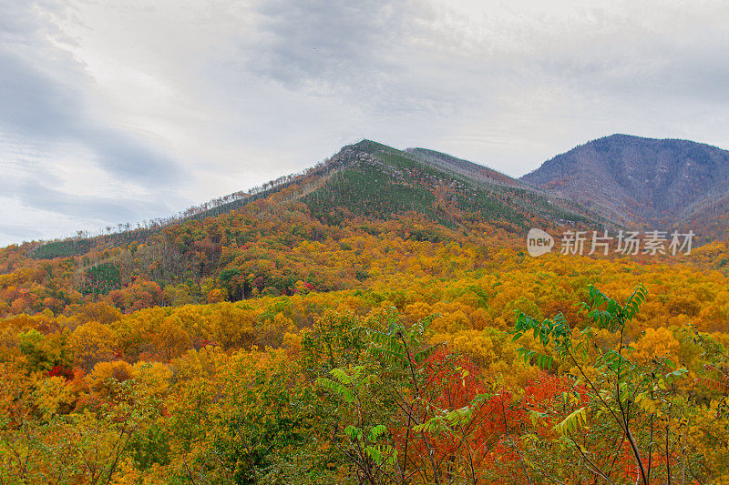 五颜六色的秋天树木和田纳西州的山景在2022年的秋天