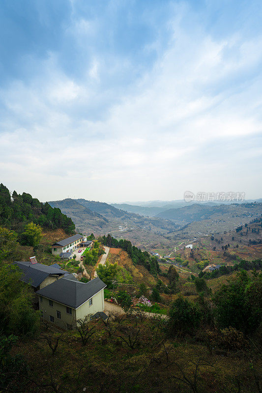 在清晨的山上