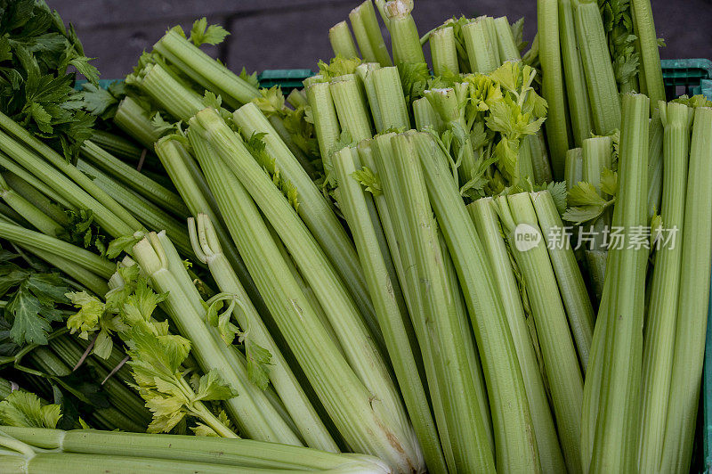 市场上一捆捆的芹菜。