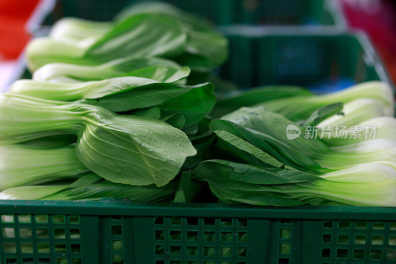 大白菜在亚洲农贸市场有售