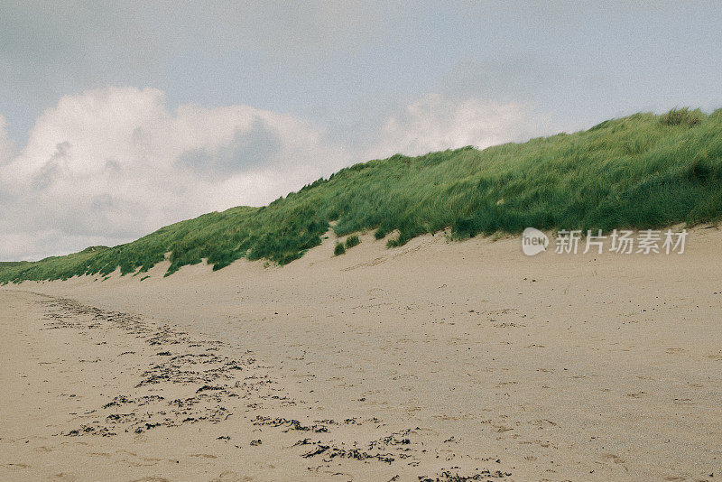 在遥远的苏格兰高地海滩上，沙丘上高高的绿草