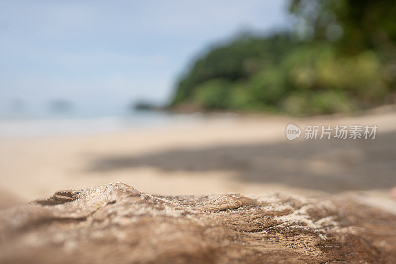 热带海滩背景上的沙质木质表面