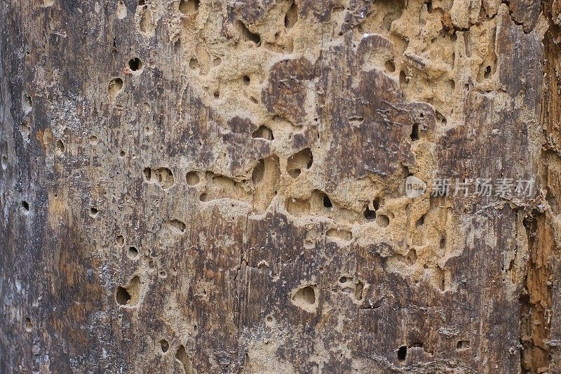 木材纹理来自旧的和磨损的板