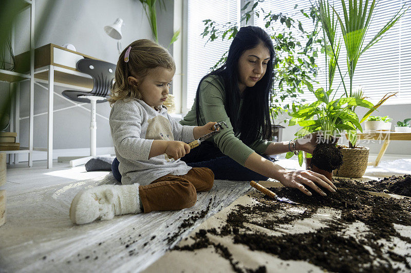家庭园艺。妈妈和孩子重新盆栽室内植物。