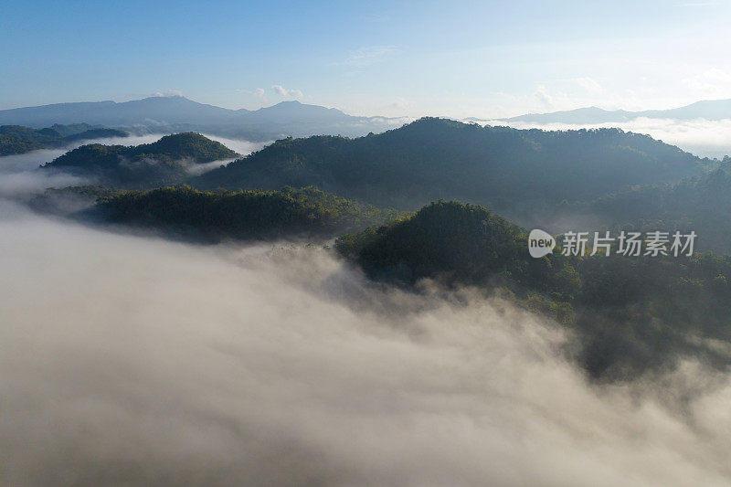 清晨的风景，金色的光线，日出，雾气笼罩着森林。