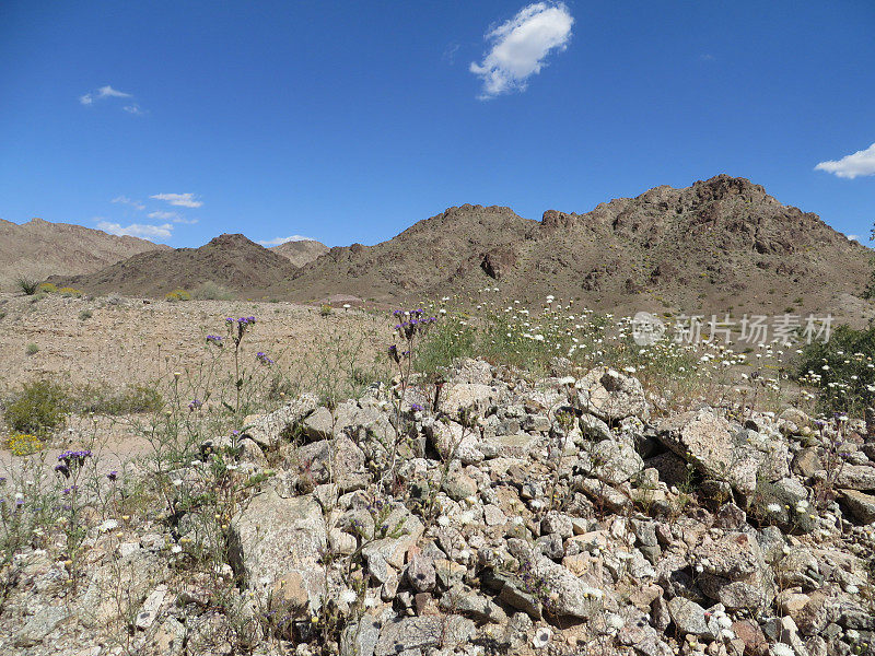 宁静的山景-亚利桑那沙漠-干旱的岩石地形