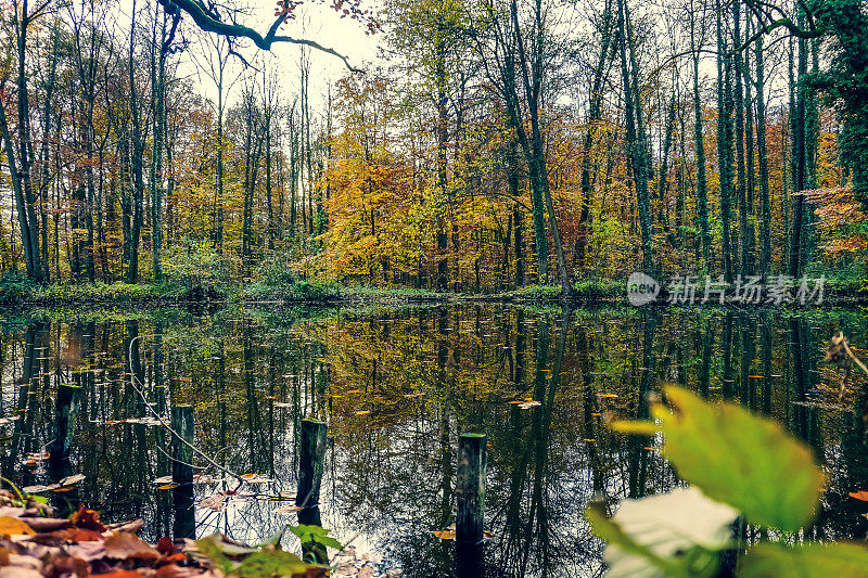德国的一个美丽的湖，也叫“巴尼奥”。