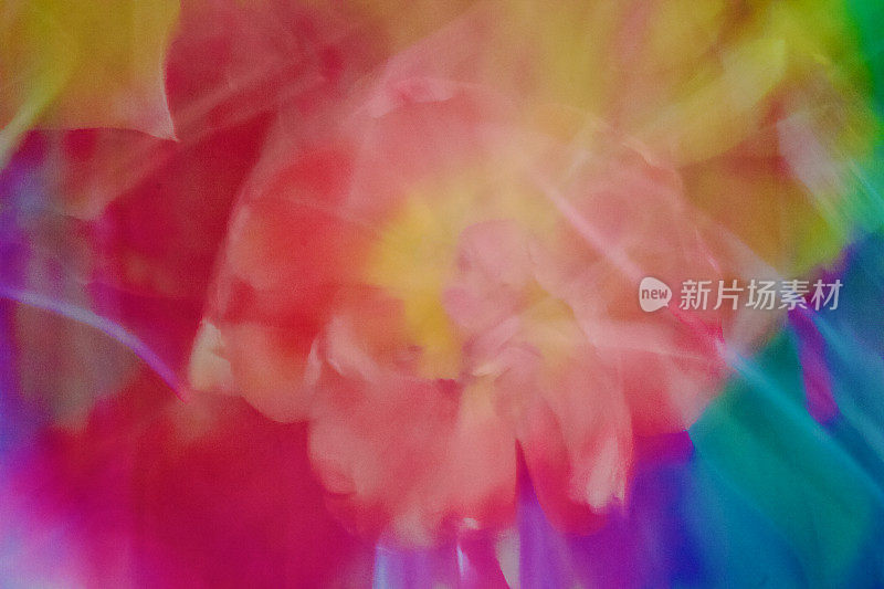 自然，抽象，充满活力，大胆的彩色Pantones