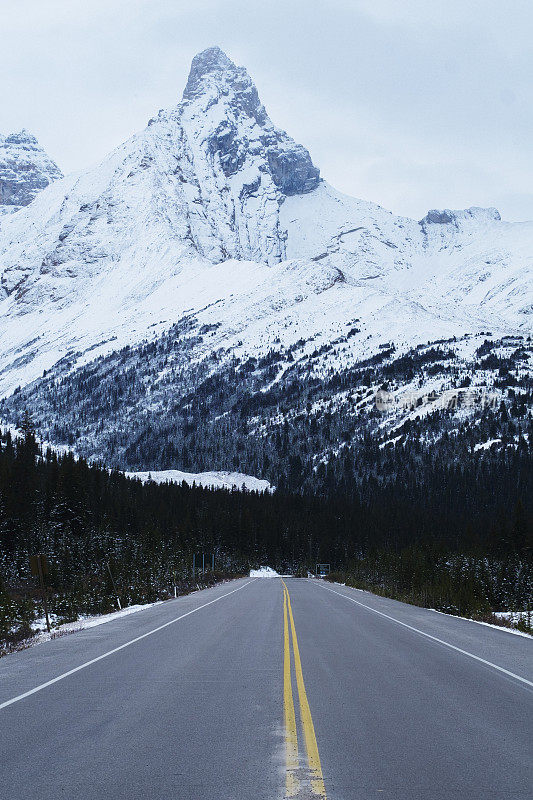 加拿大道路与景观
