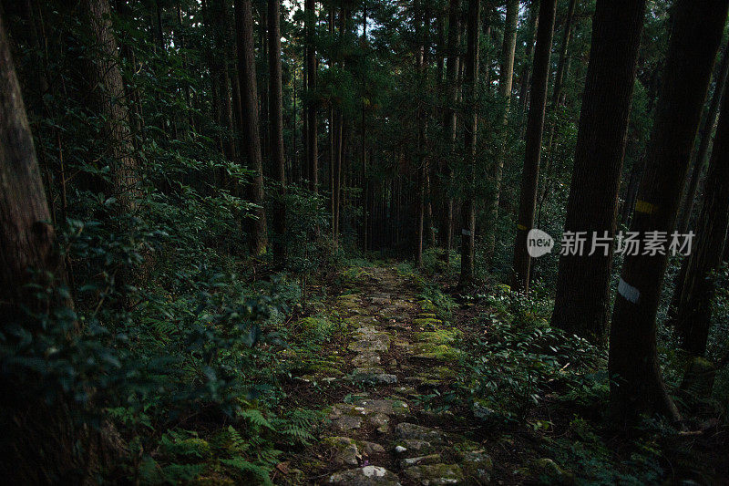 熊野古道和黎明