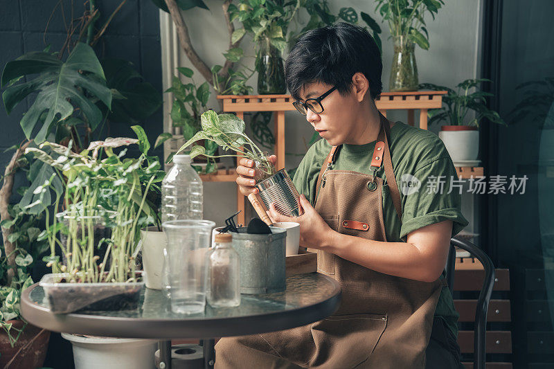 亚洲年轻的小企业主将植物种植在花盆中，在他们的室内植物商店出售，并在网上销售。