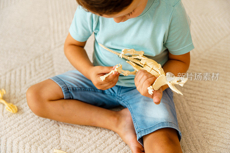 小男孩在玩恐龙骨架玩具