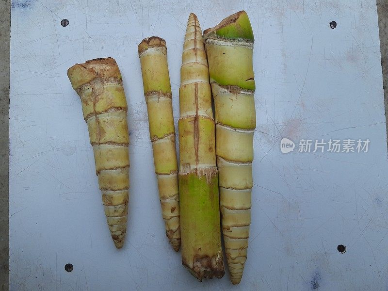 竹笋或竹芽是许多竹子种类的可食用的芽，包括竹和毛竹。