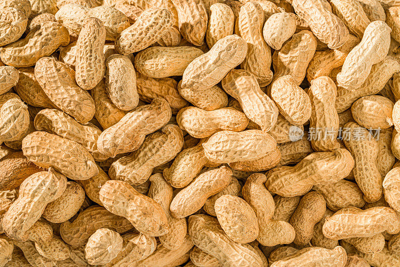 背景纹理全天然花生在他们的豆荚壳，全帧顶部