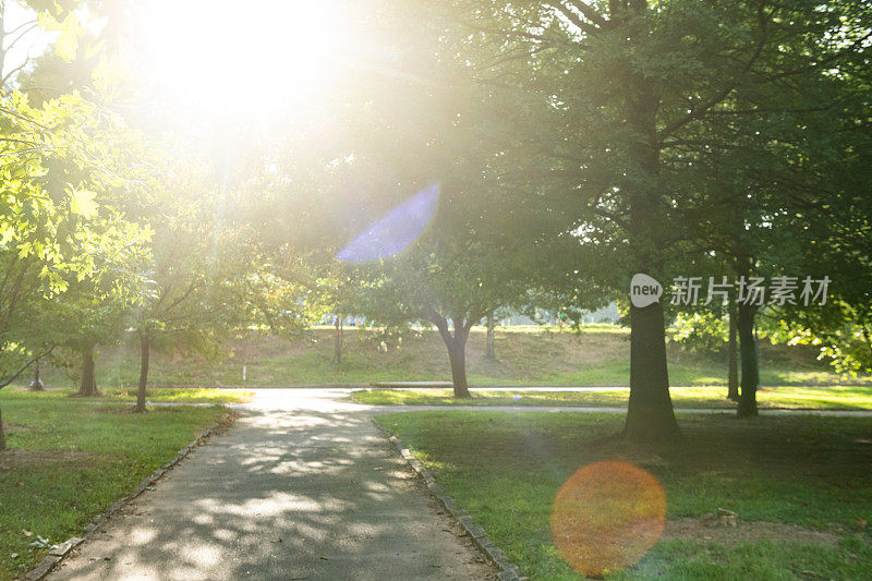 乔治亚州亚特兰大皮埃蒙特公园的阳光步道