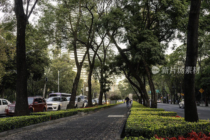 墨西哥城Reforma大道的人行道和自行车道