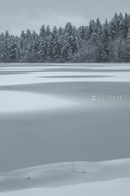 海狸湖地区公园的雪景