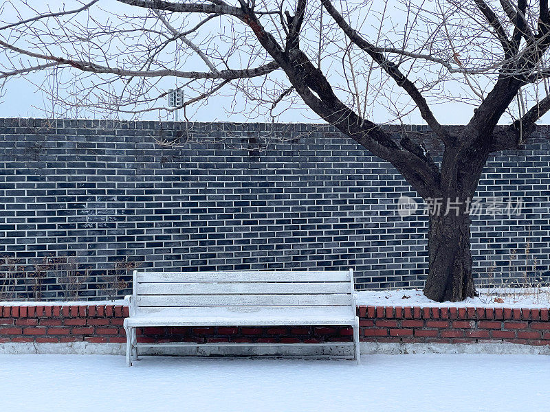 下雪天，早晨，空板凳