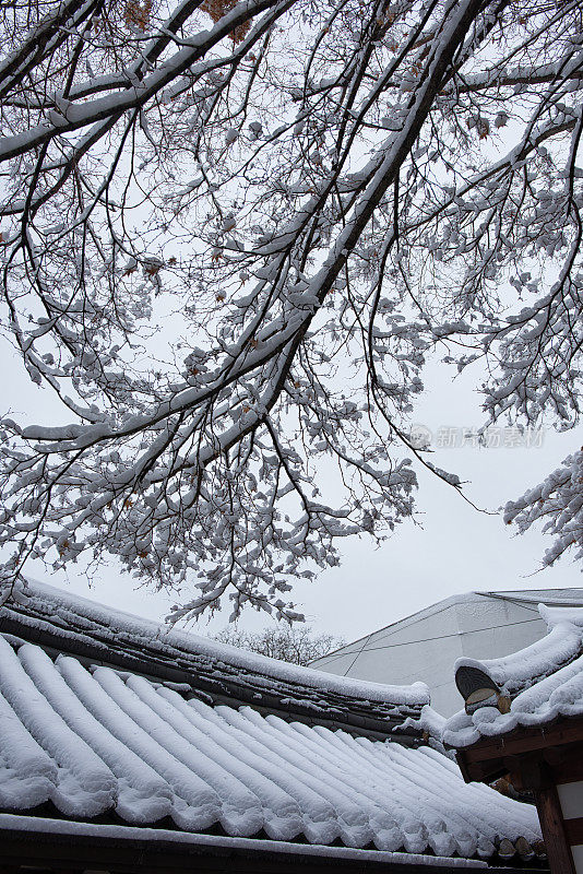 被雪覆盖的韩国传统瓦片