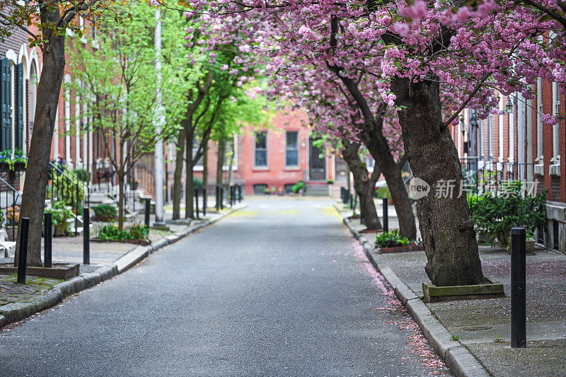 费城的城市