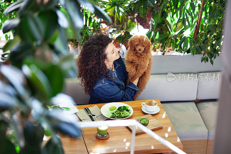 美丽卷曲的黑发女人的肖像，拥抱宠物，同时享受素食餐厅的植物性食物，环保的室内装饰着郁郁葱葱的绿色植物