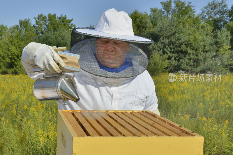 养蜂人吸烟蜂巢