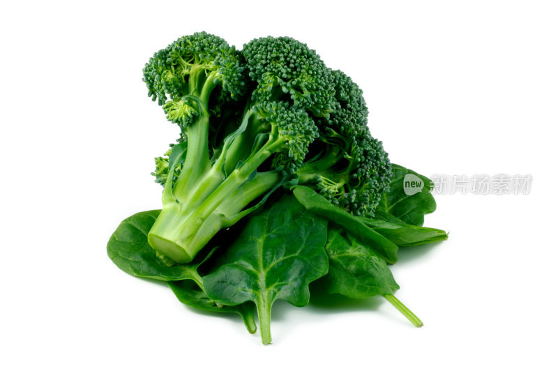 绿色蔬菜――菠菜和西兰花