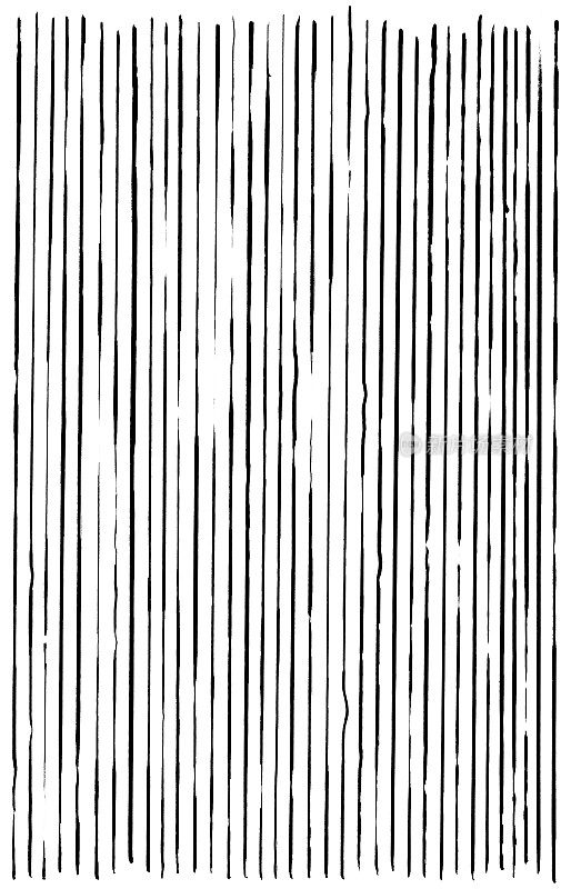 抽象的白色上的黑色线条